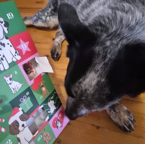 Doggy Advent Calendar – 24 Handmade Australian Dog Treats