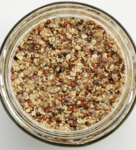 Glass jar filled with a mixture of quinoa and other grains on a white background