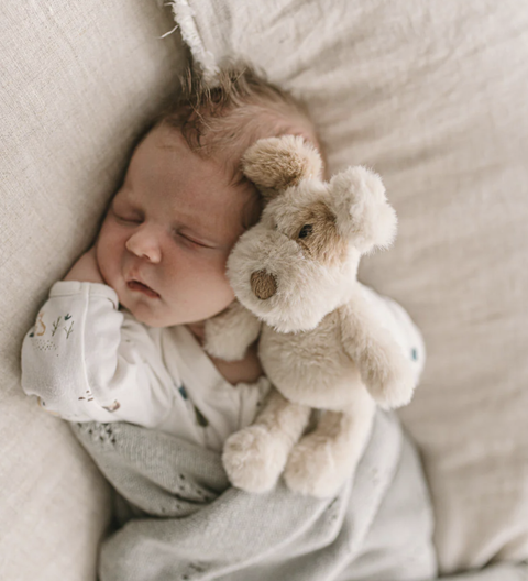 Buddy, or Bud as he is more commonly known and Buddy the Dog Rattle, is a shy gentle dogs who will do anything for their human companion. Super-soft plush design made for snuggles. Perfect newborn or baby shower gift.