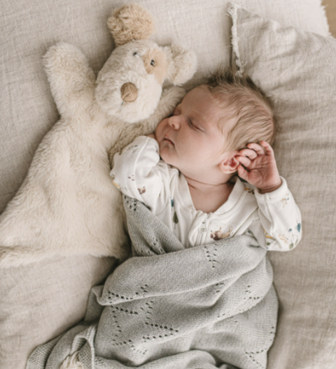 Discover the Hoochie Coochie Bunny comforter — an ultra-soft plush, hand puppet and baby sleep aid with dummy attachment. Perfect for soothing cuddles and gifting.