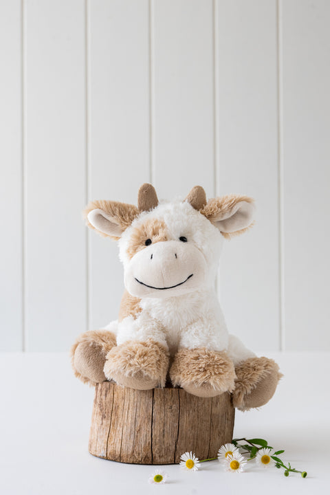 The farmyard friend with a legendary past - Coco the cow. A storytelling companion, a musical farm buddy, and a loveable snuggle friend rolled into one.
