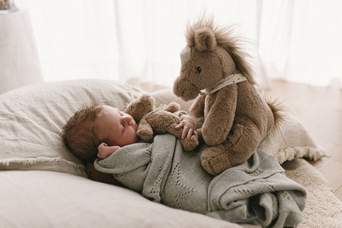 Sweetest, slouchiest newborn snuggle buddy to trot - Harvey the horse.