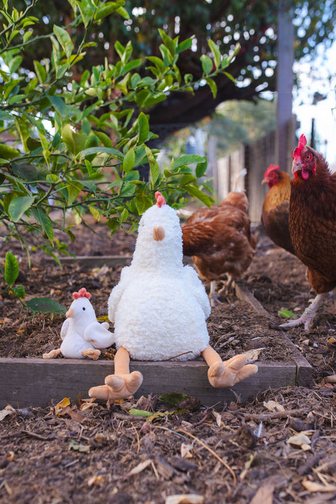 High-quality plush toy chicken that's irresistibly soft and charming. A delightful gift and comforting companion for babies, kids, and animal-loving homes.