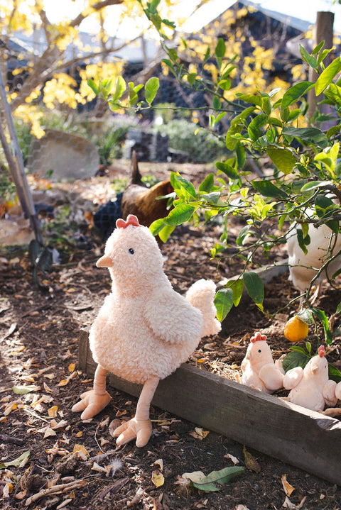 A soft plush chicken toy made for cuddles and cosy moments. Perfect for kids, collectors, and farm-loving homes.