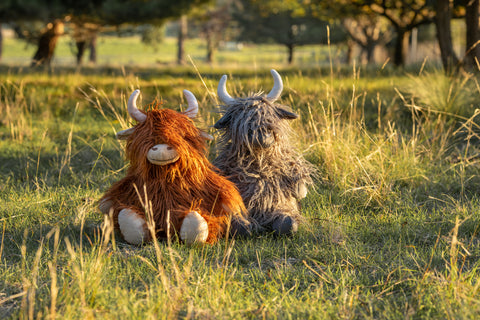 Cute stuffed highland cows (Henry in charcoal and original colour) makes the ideal gift or comforting companion. Great for any house, decoration or stylist. 