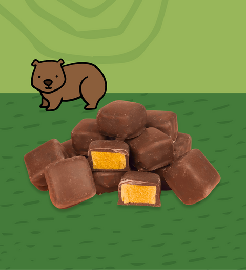 Wombat Poo Chocolate - Honeycomb