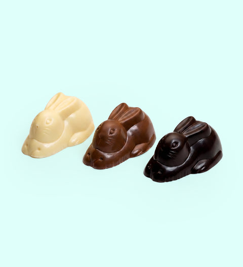 Premium Belgian chocolate bunnies individually wrapped