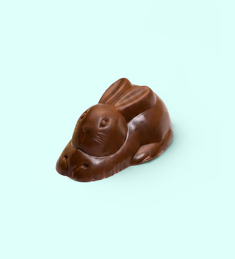 Milk chocolate bunny