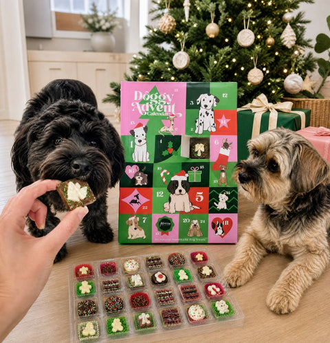 Doggy Advent Calendar – 24 Handmade Australian Dog Treats