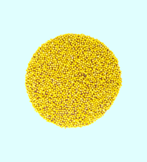 40g YELLOW Single Freckle - No Front Label