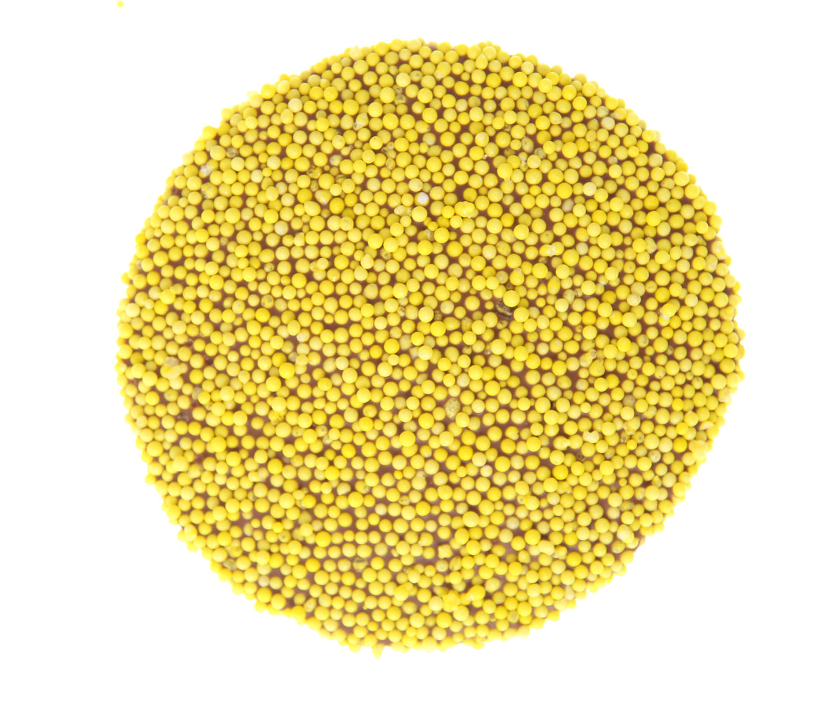 40g YELLOW Single Freckle - No Front Label